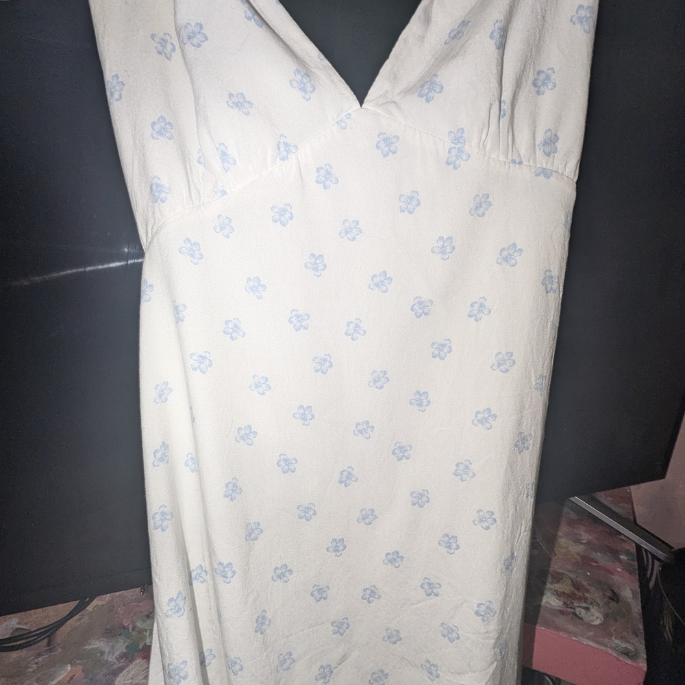 Floral Print Dress in Cream and Blue